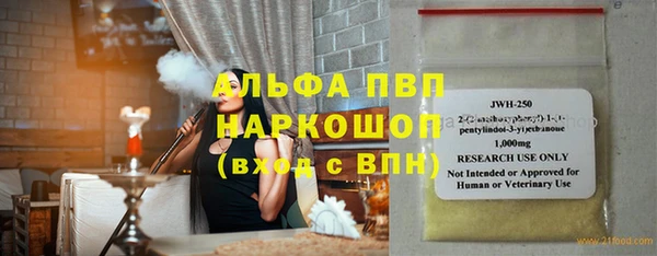 прущие грибы Беломорск