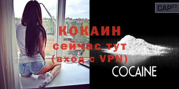 крисы Белоозёрский