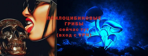 прущие грибы Беломорск