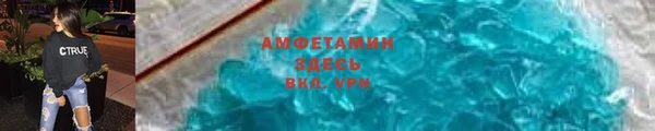 прущие грибы Беломорск