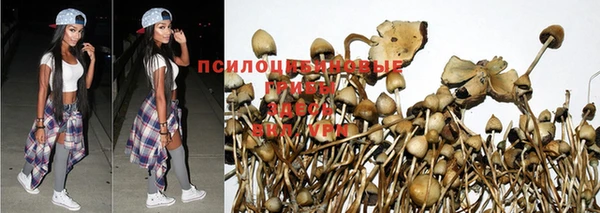 мескалин Белокуриха