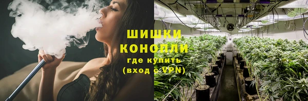 прущие грибы Беломорск