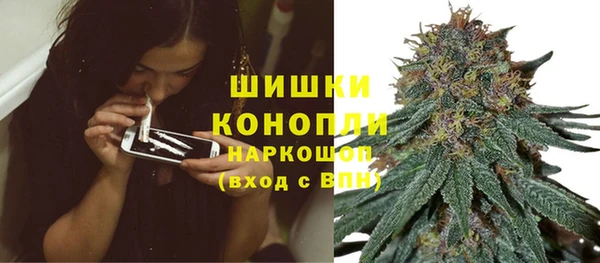 прущие грибы Беломорск