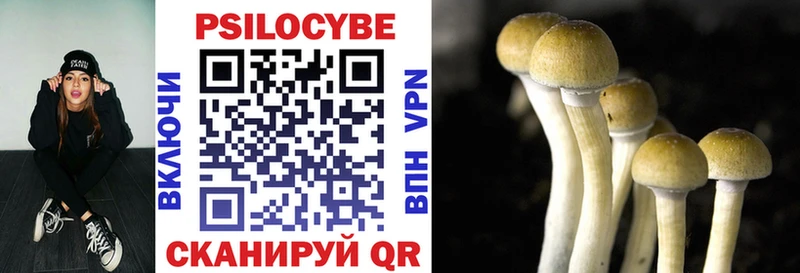 Галлюциногенные грибы Cubensis  Окуловка 